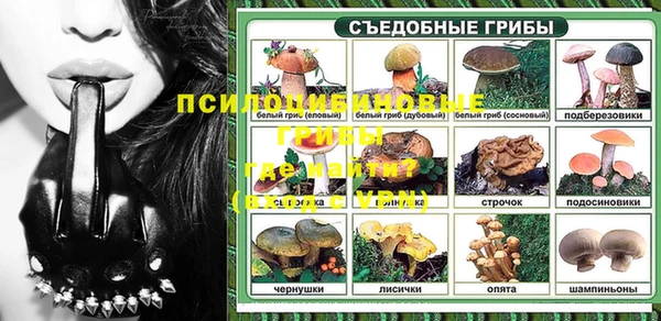 прущие грибы Армянск