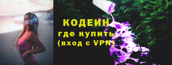 прущие грибы Армянск