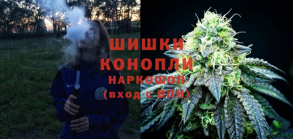 прущие грибы Армянск