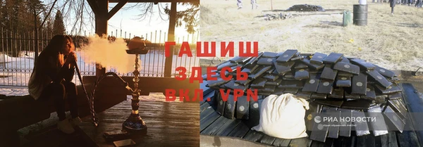 прущие грибы Армянск